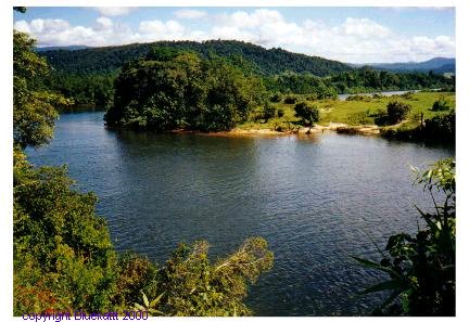 The Daintree River.